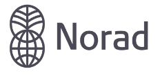 NORAD Logo